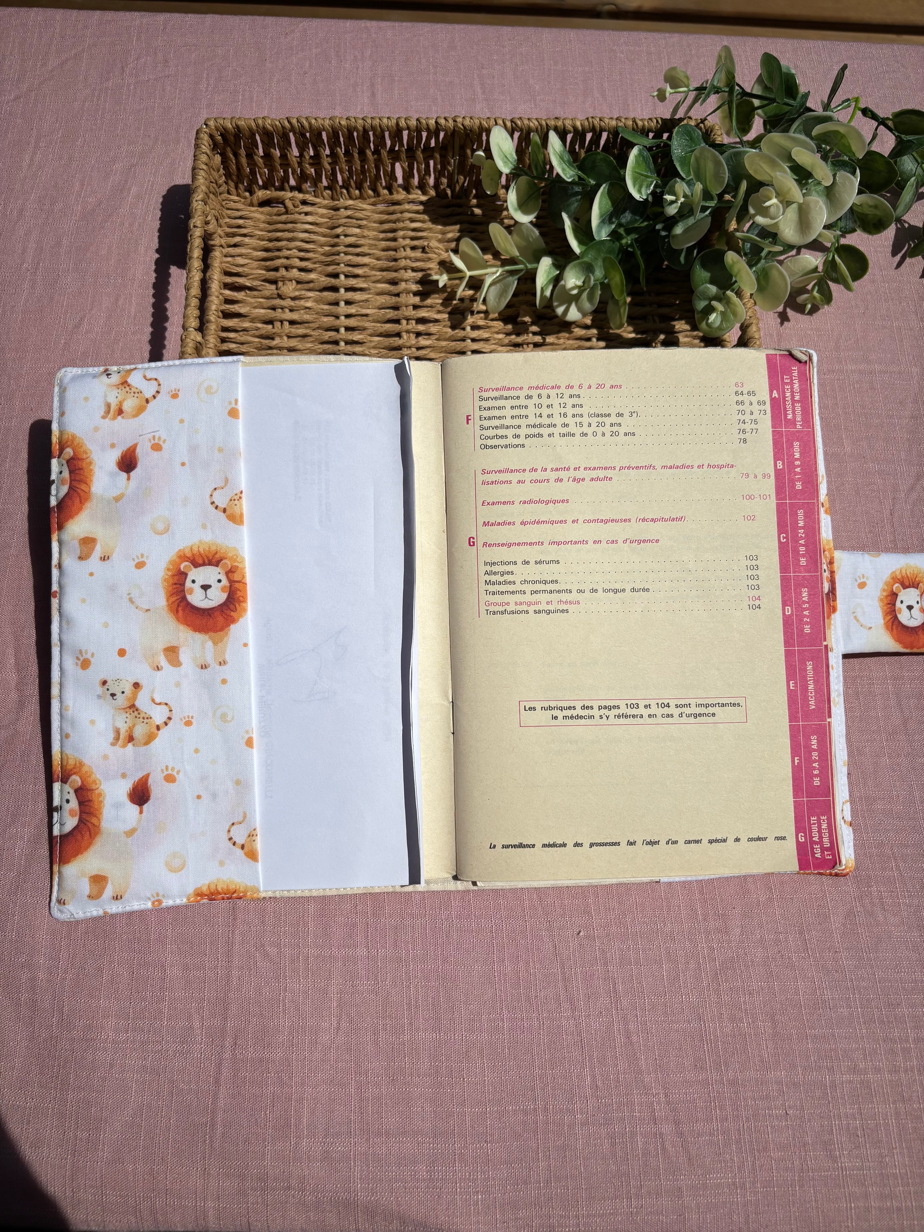 Protège carnet de santé