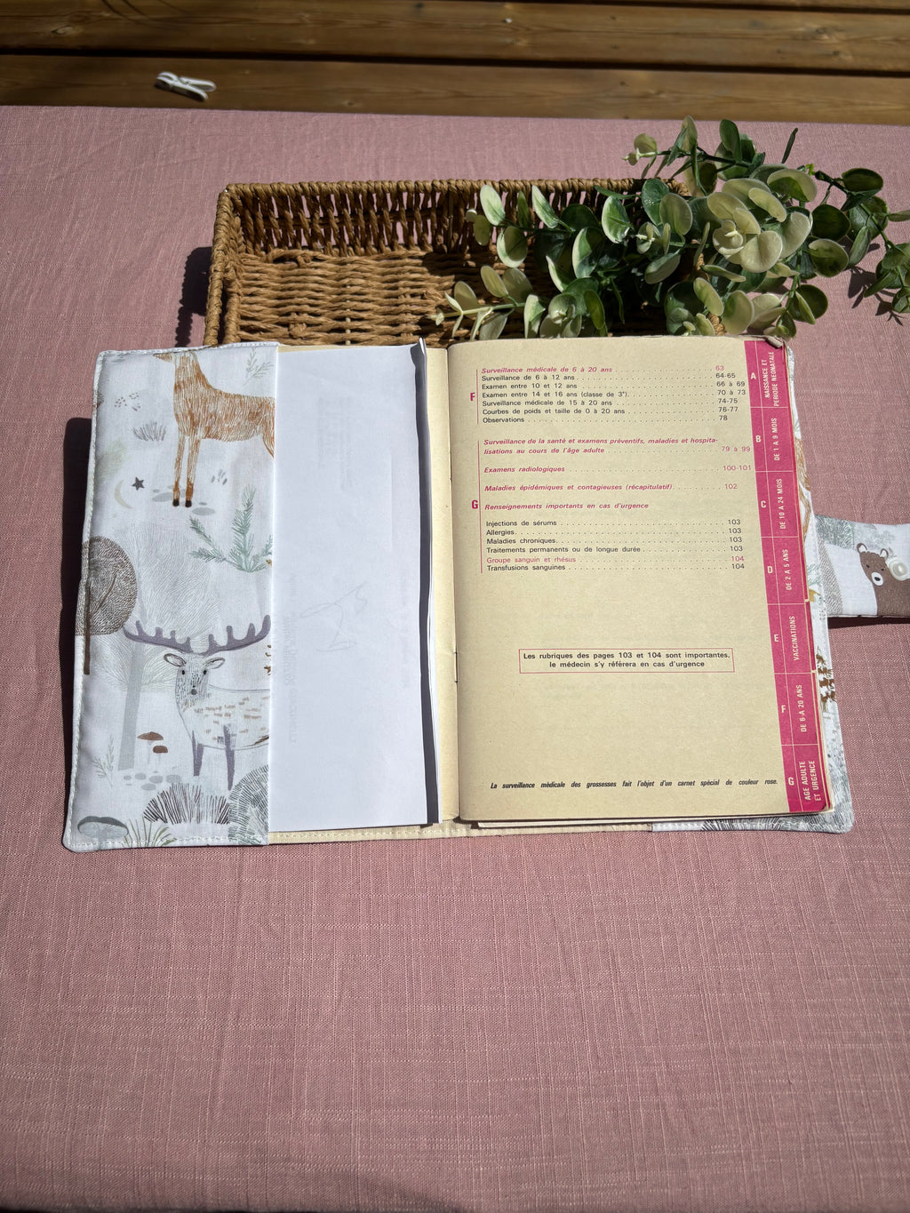 Protège carnet de santé