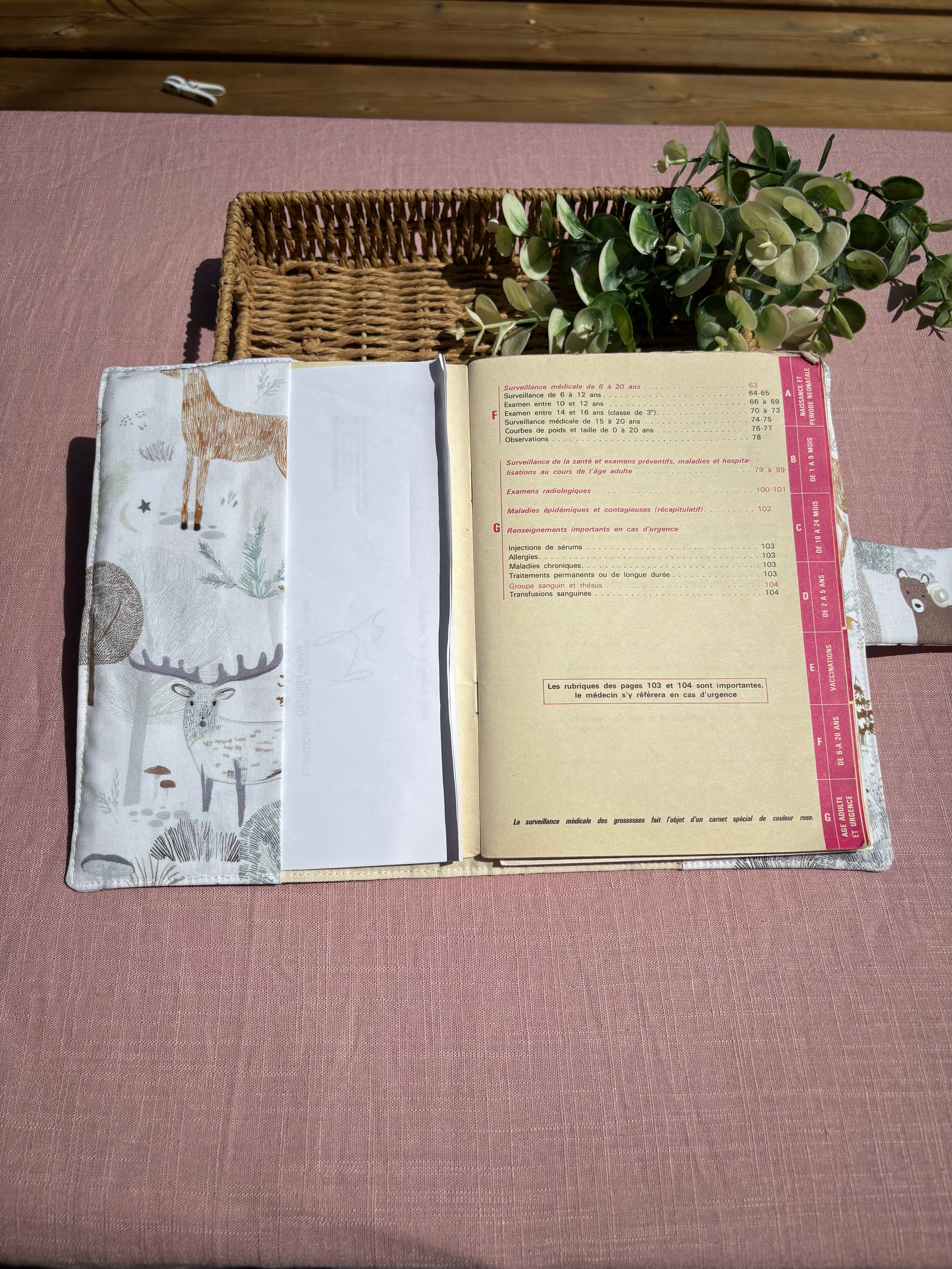 Protège carnet de santé